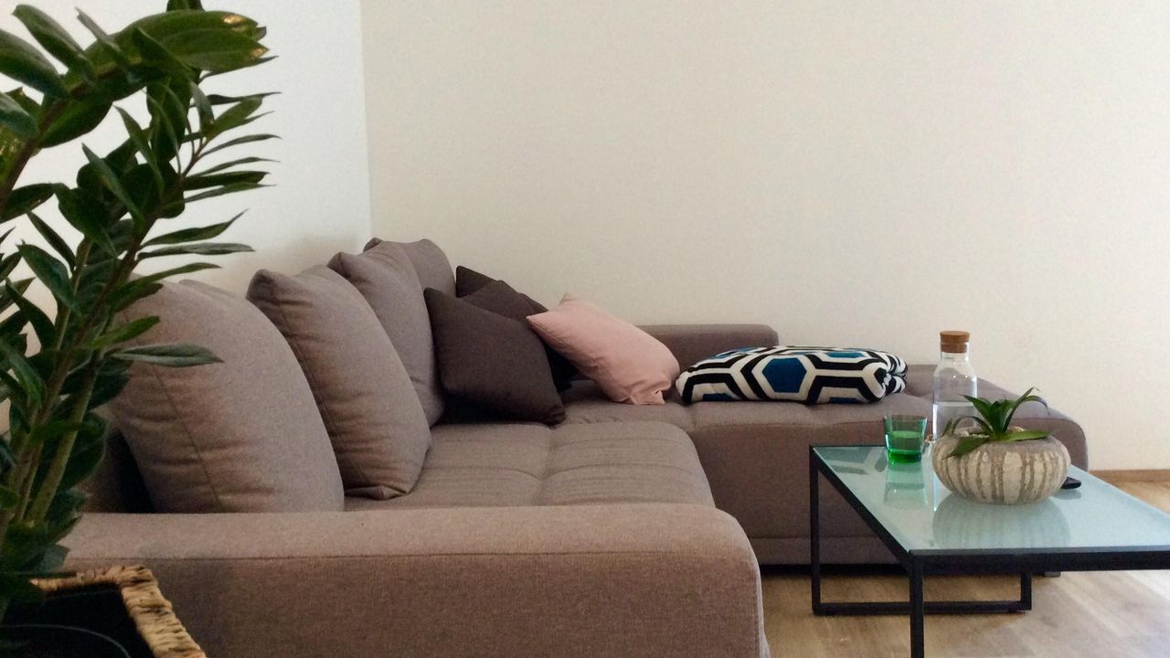 The cozy nest The cozy nest